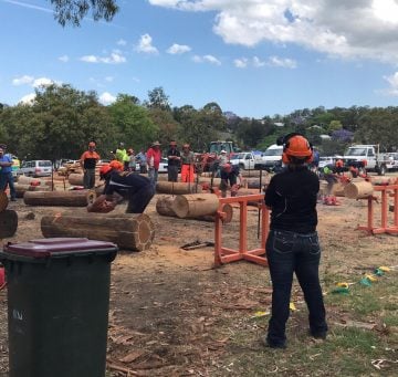 Dungog Show
